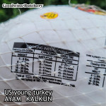 Ayam Kalkun young tender turkey NORBEST USA with pop-up timer HALAL frozen +/- 6 kg/pc (price/kg)